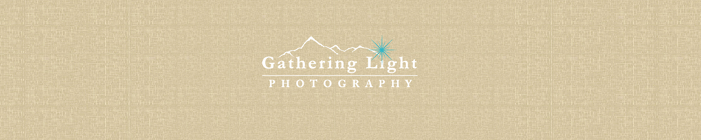 Wedding Photographer in Denver logo