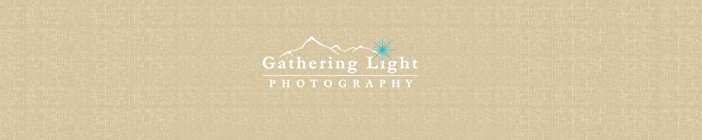 Wedding Photographer in Denver logo